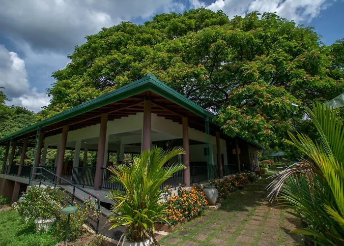 Governor'S Gangula Hotel
